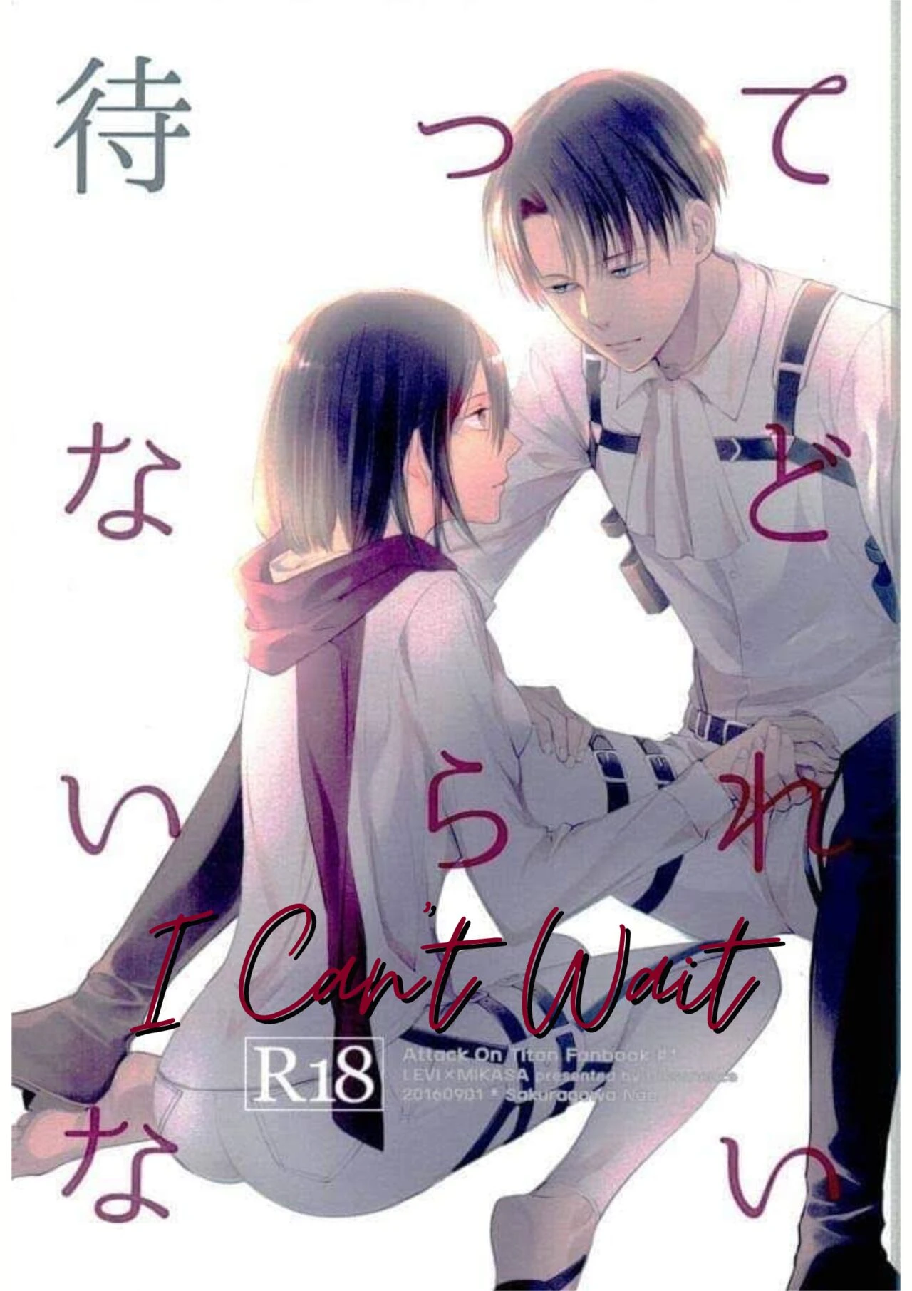 I Can't Wait cover