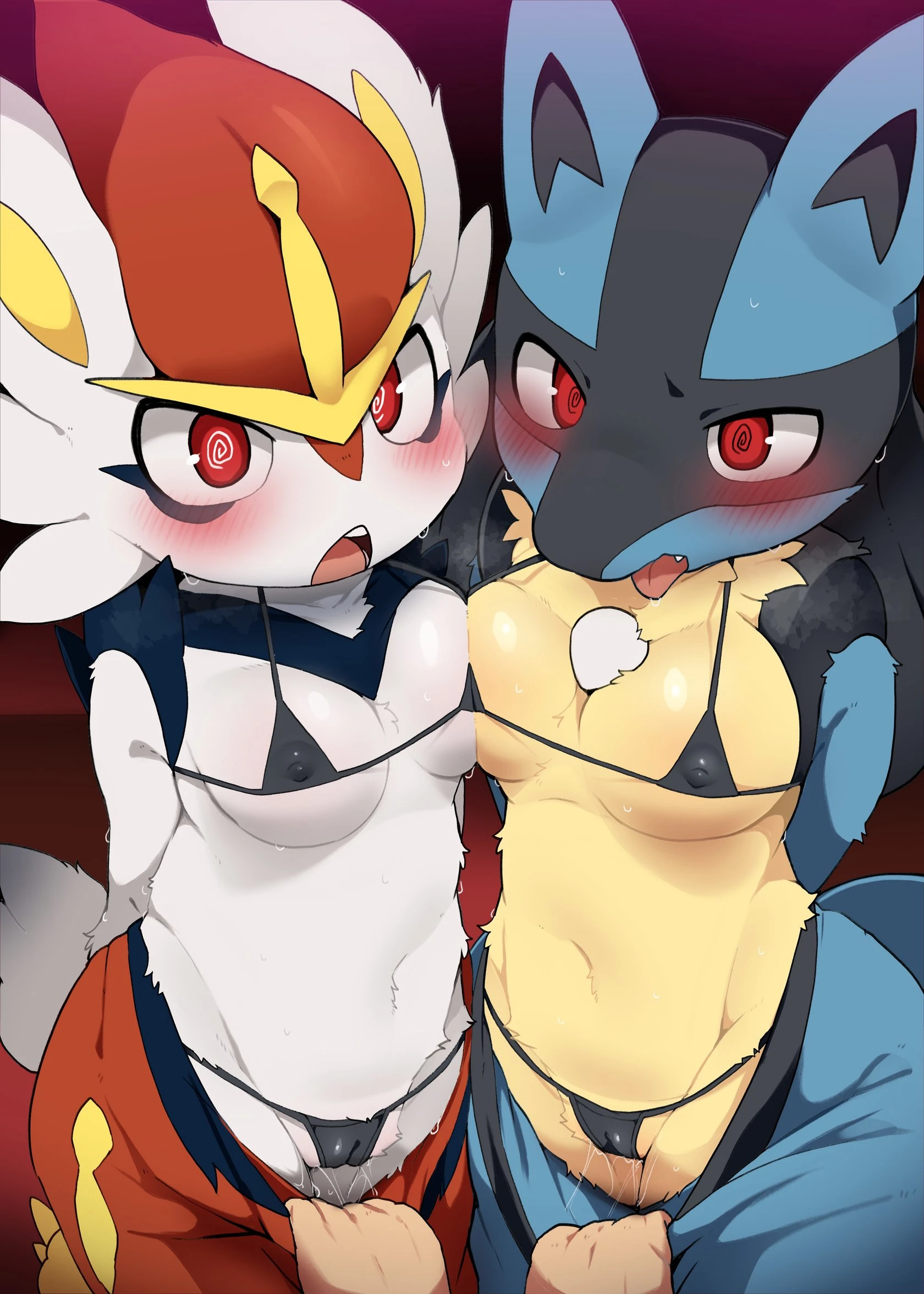 Cinderace and lucario cover
