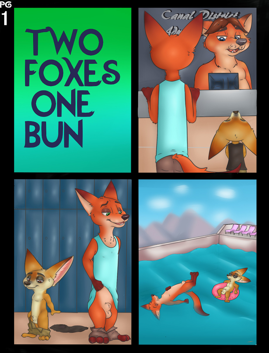 Two foxes one bun cover