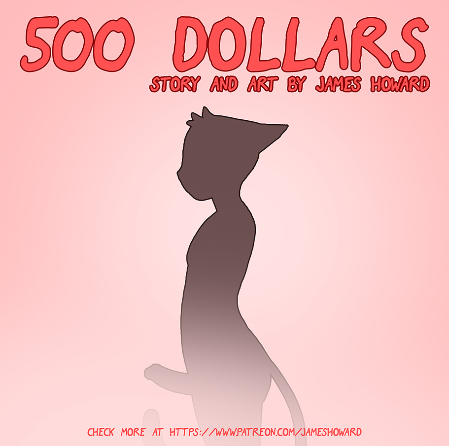 500 dollars cover