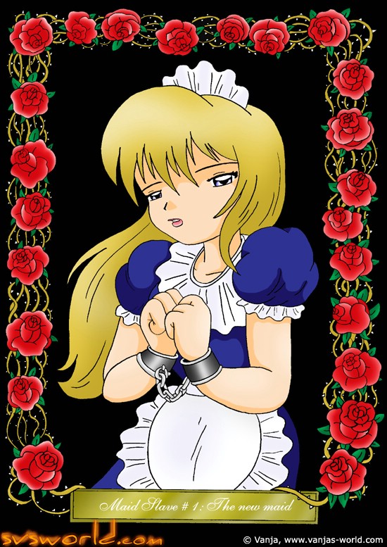 Maid Slave cover
