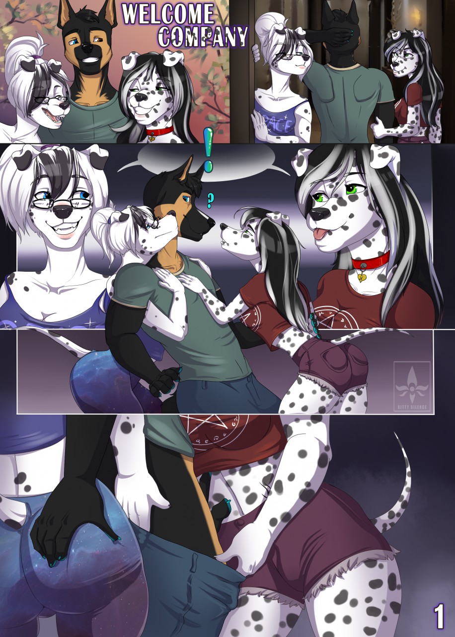 Welcome Company cover