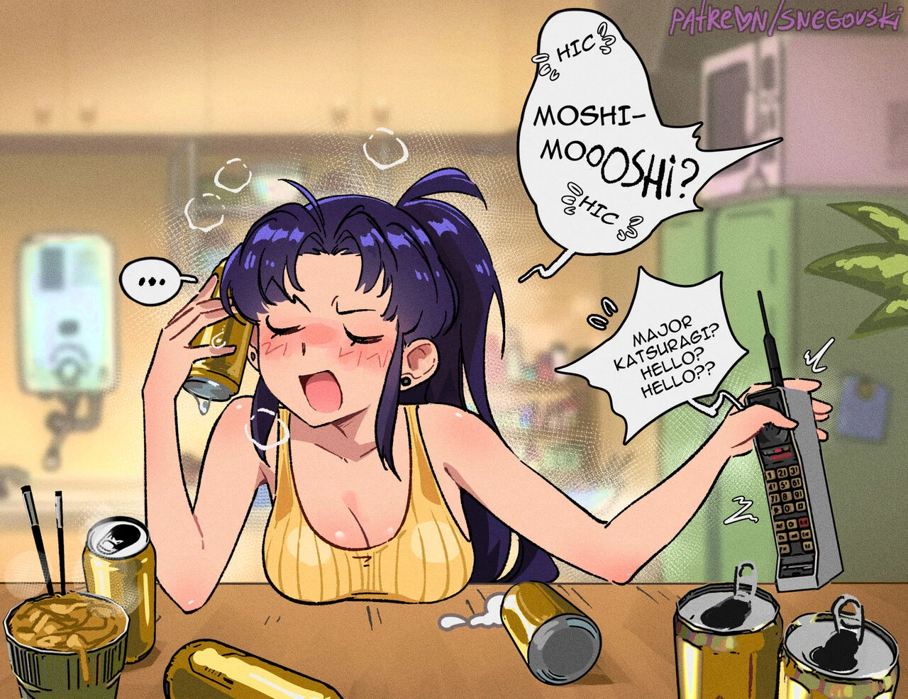 Misato's Days cover