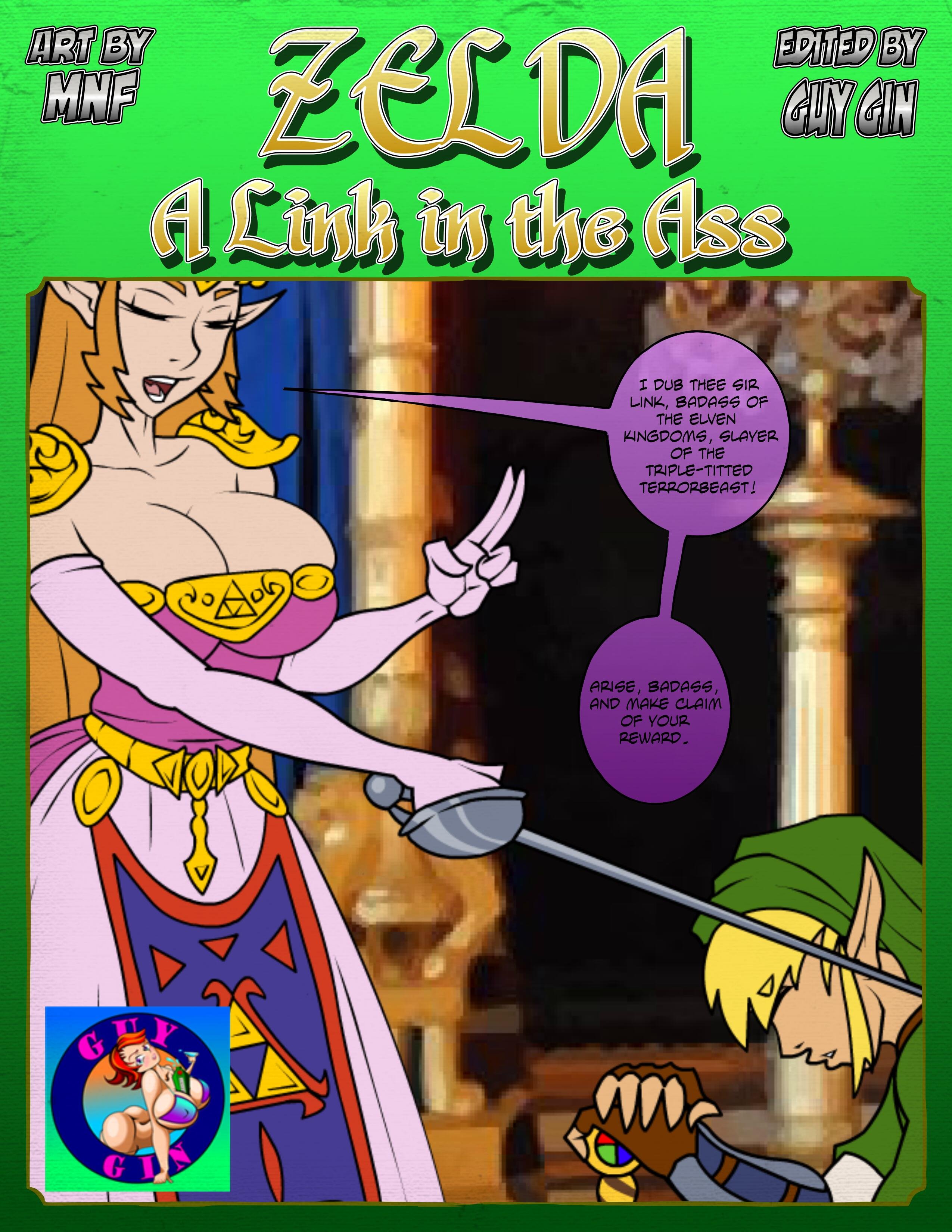 Zelda: A Link in the Ass cover