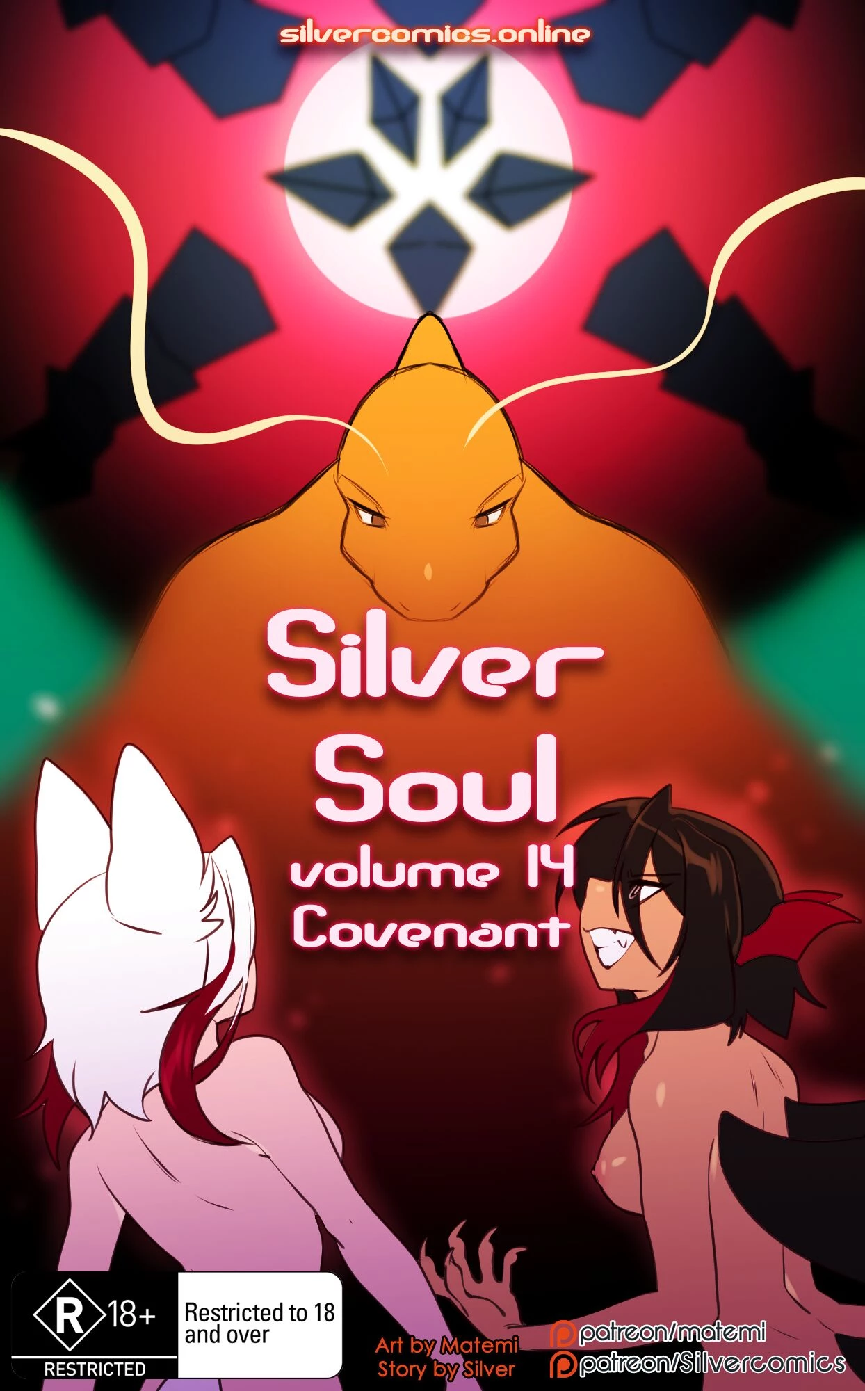 Silver Soul 14 cover