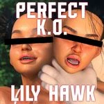 Perfect K.O.: Lily Hawk cover