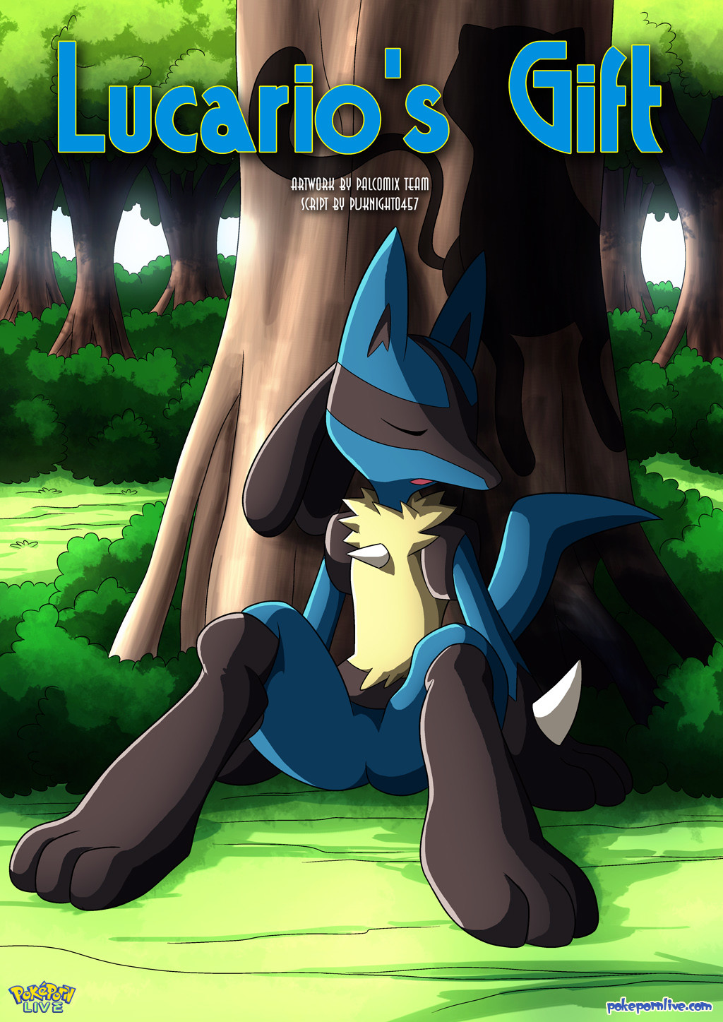 Lucario’s Gift cover