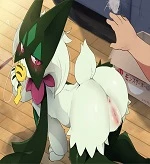 My Pet cover