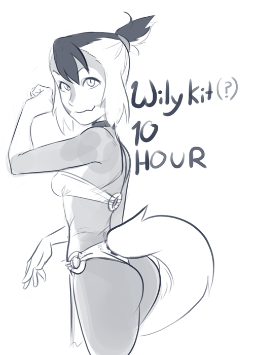 Wilykit 10 hr cover