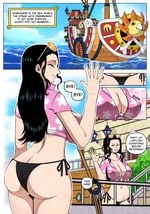 Robin x Zoro cover