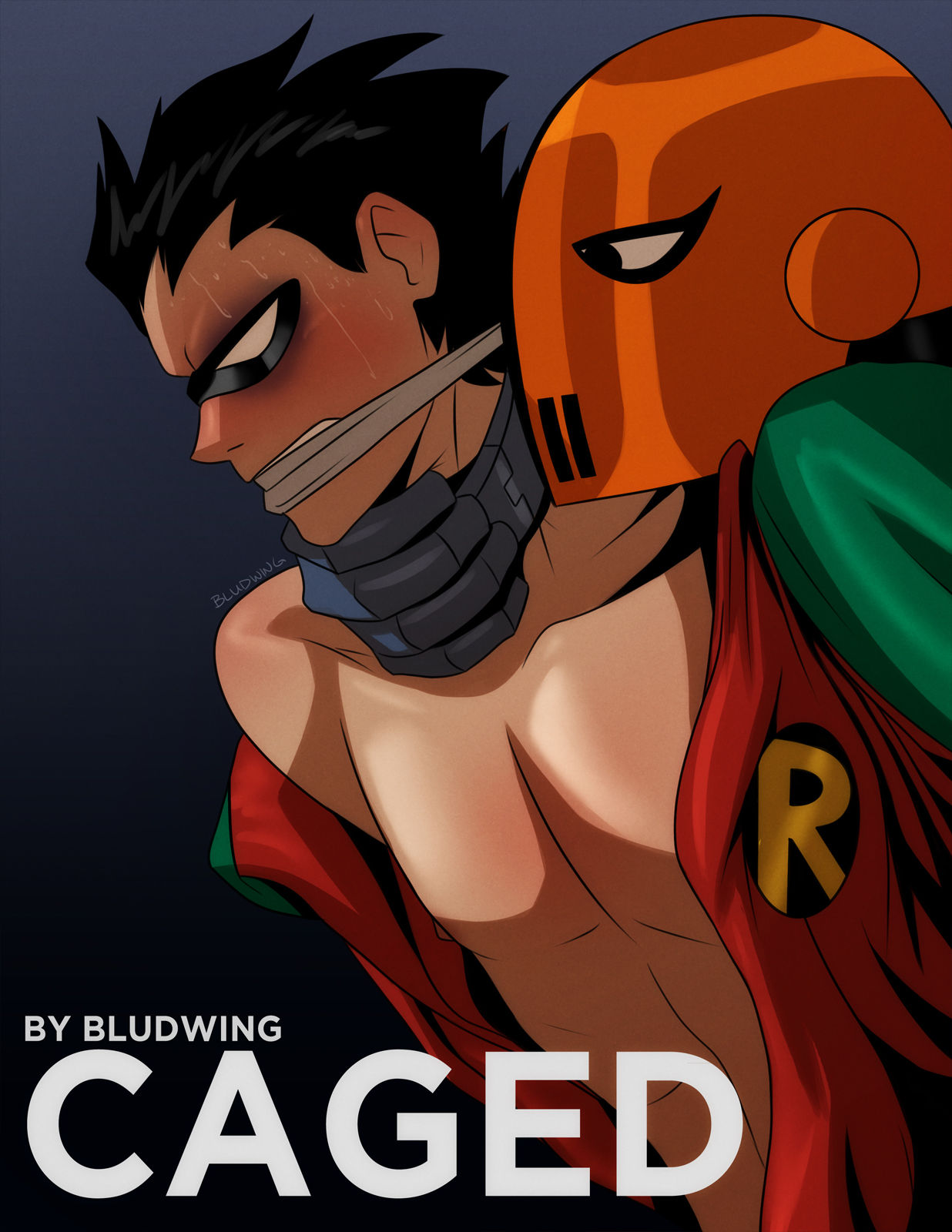 Caged cover
