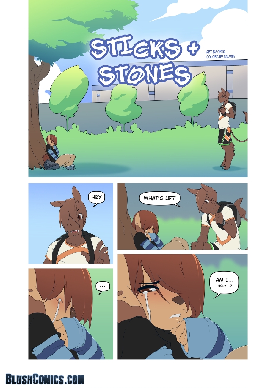 Sticks & Stones cover
