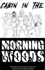 Cabin in the Morning Woods cover