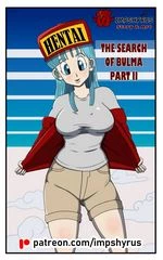 Bulma's Search 2 cover