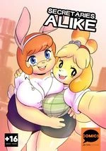 Secretaries Alike cover