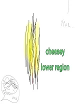 TWISTED MYTH VAMP SEES THEYRE LOWER REGIONS cover