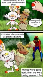 Pokemon Master's Rules cover