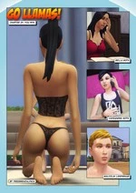 Go Llamas! 24-28 cover
