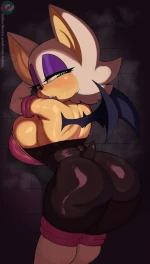 Rouge the bat cover