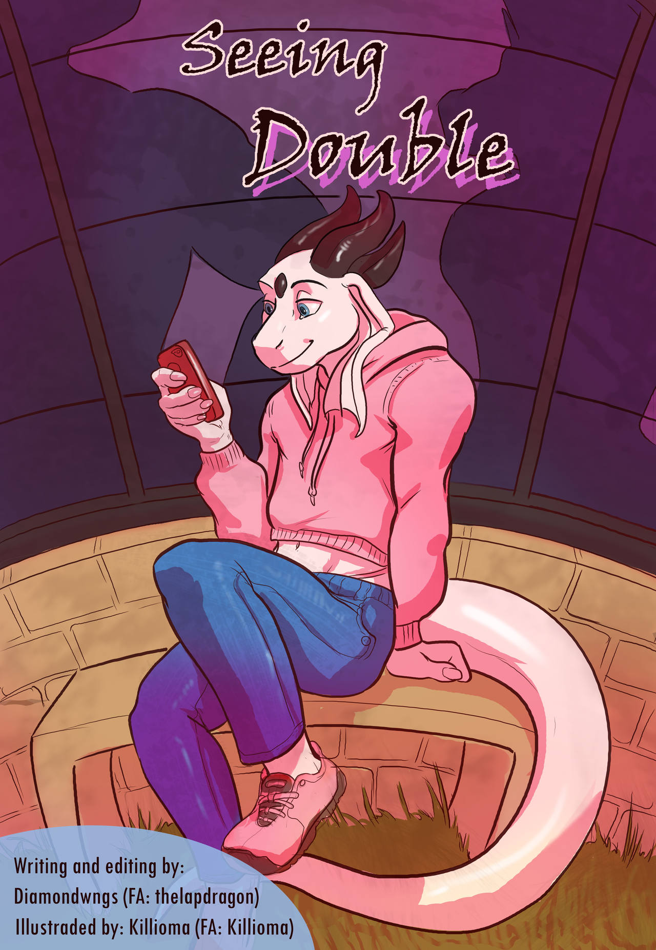 Seeing Double cover