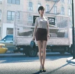 Alley cover