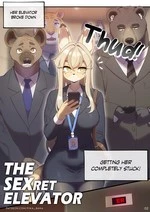 The Sexret Elevator cover