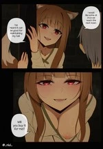 Holo cover