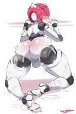 Robot cover