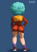Bulma (funsexyDb) cover