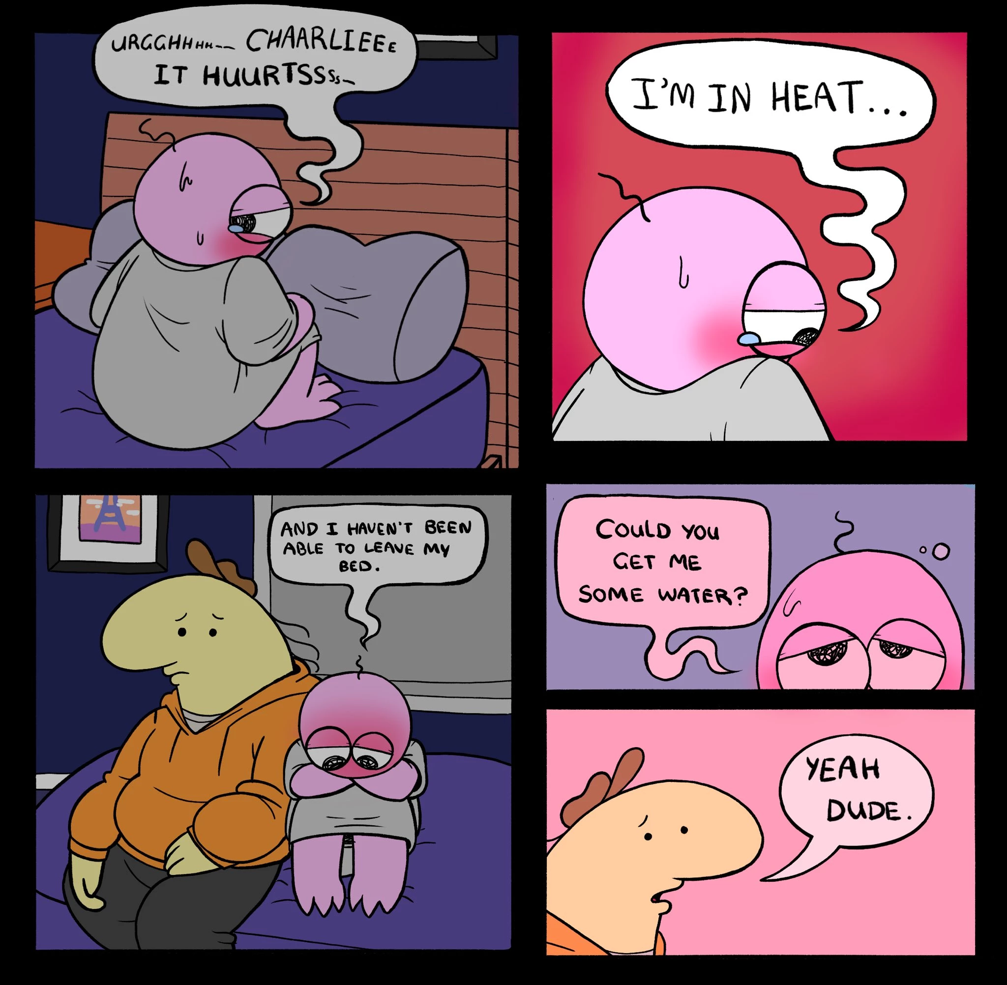 Pim In Heat cover