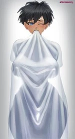 Videl cover