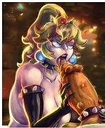 Bowser relax cover