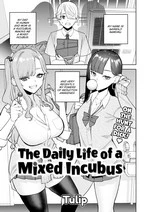 The Daily Life of a Mixed Incubus cover