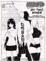 My Two Wives cover