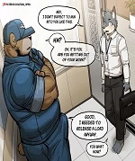 Elevator cover