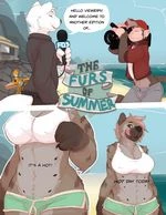 The Furs of Summer cover