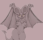 Phoxt Collection cover