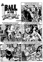 A Ball in the Bung Hole [NL] cover