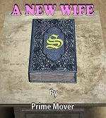 A new Wife cover