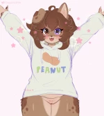 Peanut cover