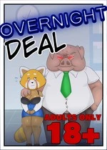 Overnight deal cover