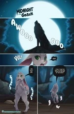 Midnight Snack cover