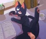 Study Session With Luna cover