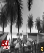 Live report cover