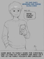 Post Christmas hook-up cover