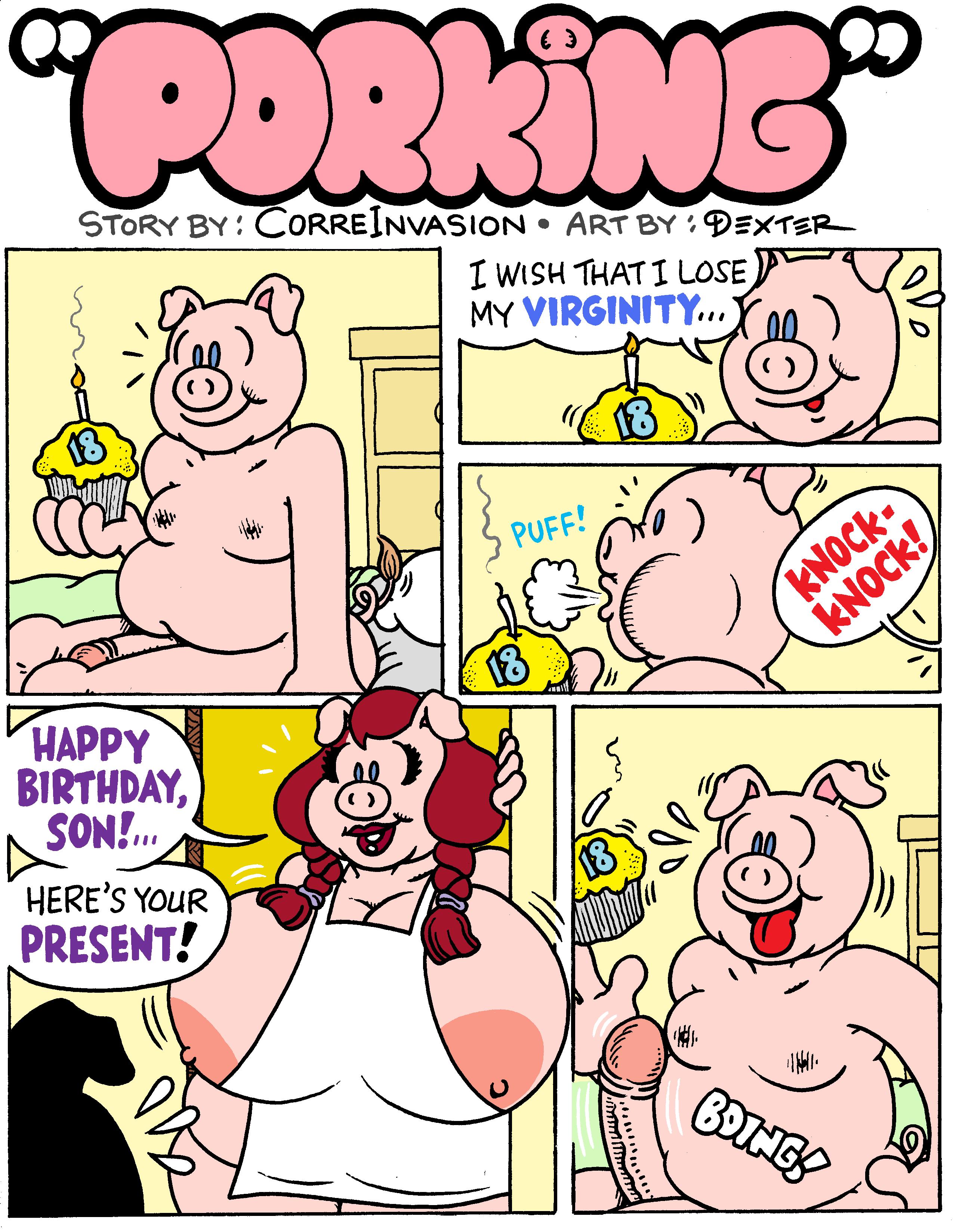 Porking cover