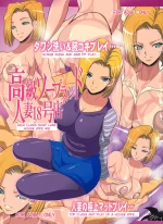Koukyuu Soapland Hitozuma 18-Gou Ten | High-Class House Wife Soap Land - No. 18 cover