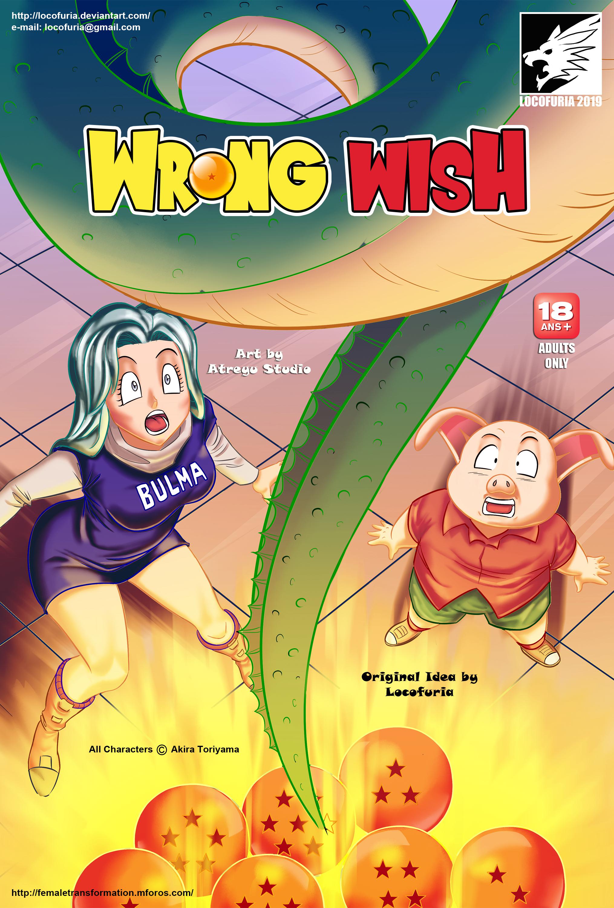 Wrong Wish cover