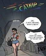 Catnip cover
