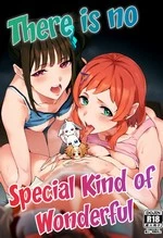 There is no Special Kind of Wonderful | Tokubetsu na Wonderful nante Nakatta cover